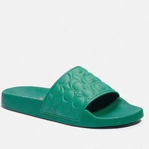coach slides green